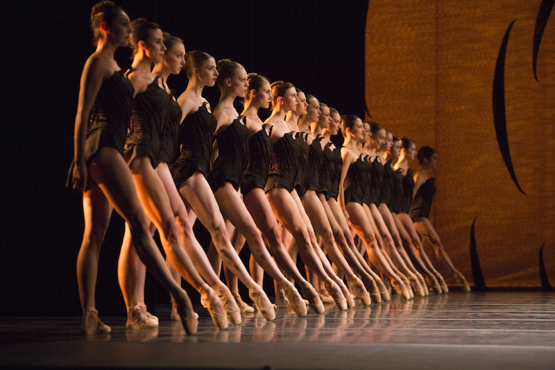 An ensemble of women dressed in black leotards stand in a straight vertical line looking towards center stage